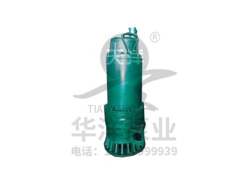 BQW(S)系列矿用隔爆型潜污水电泵6