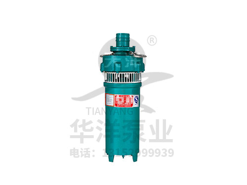 QS小型潜水电泵系列