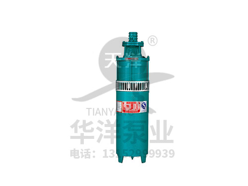 QS小型潜水电泵系列