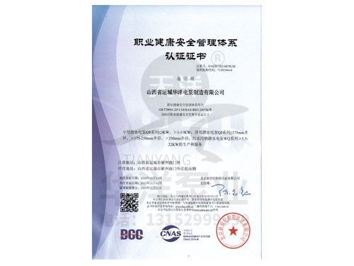 职业健康******管理体系证书