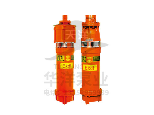 BQW小型矿用隔爆型潜污水电泵